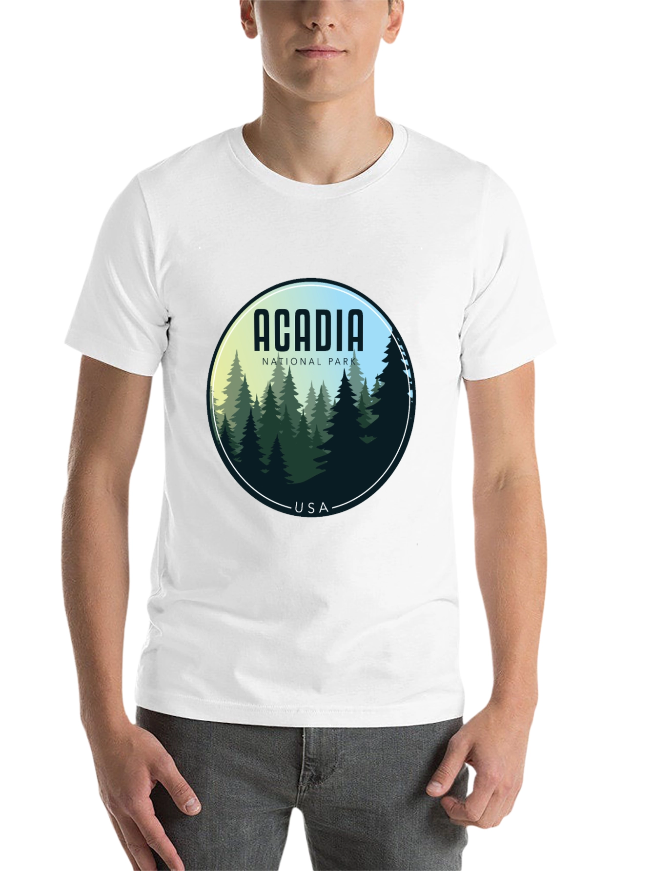 Acadia National Park T-Shirt - Nature Scene Tee