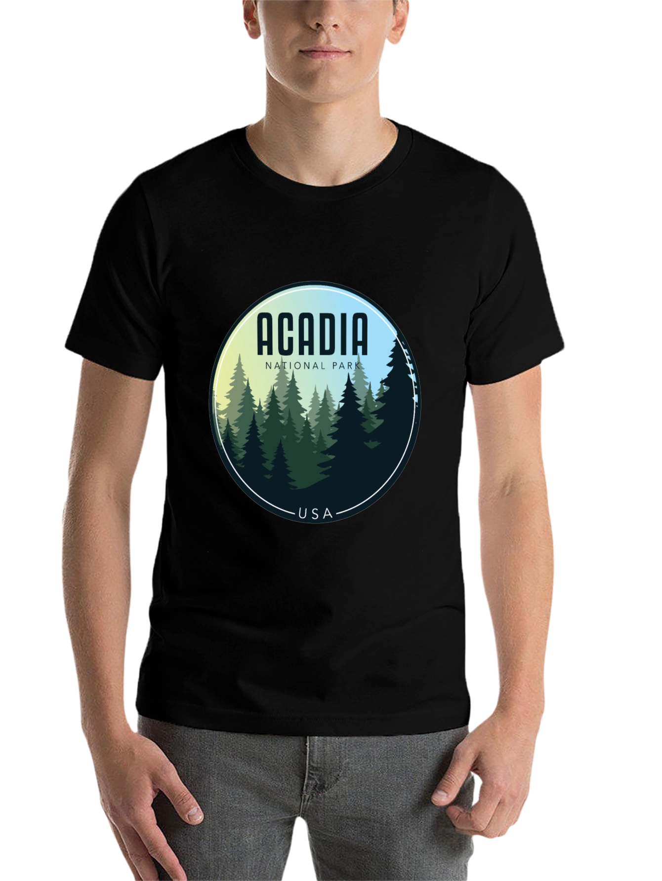 Acadia National Park T-Shirt - Nature Scene Tee