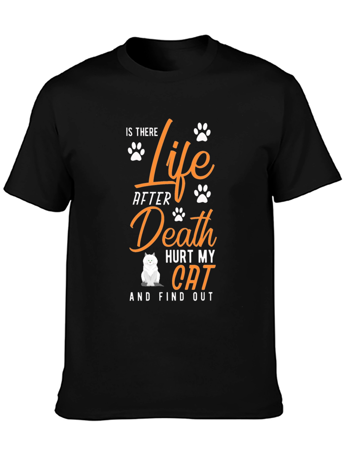 Is There Life After Death Hurt My Cat T-Shirt