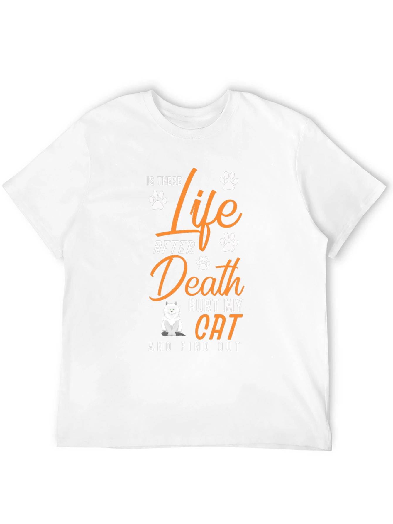 Is There Life After Death Hurt My Cat T-Shirt