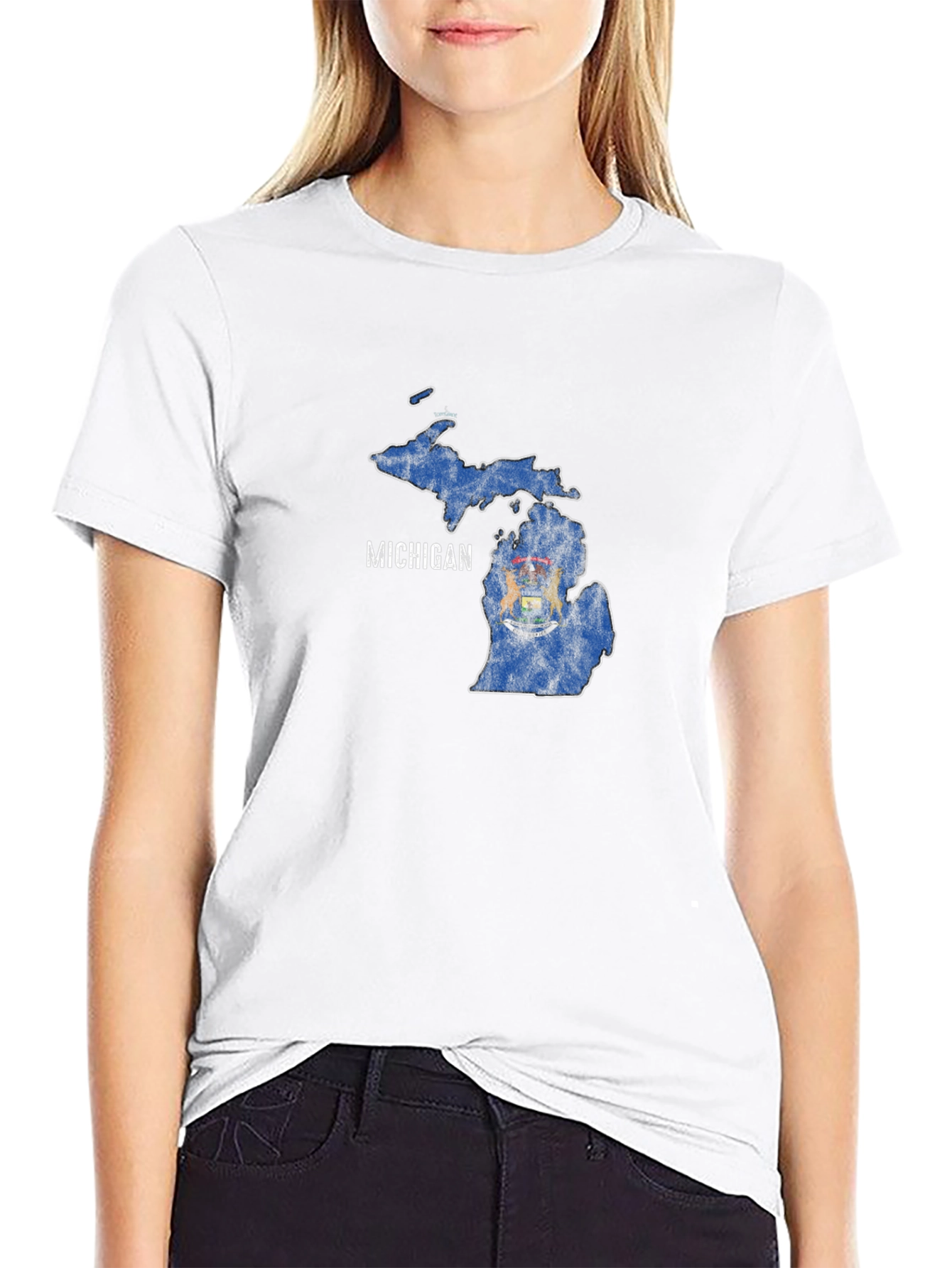 Michigan State Flag Graphic T-Shirt - Black