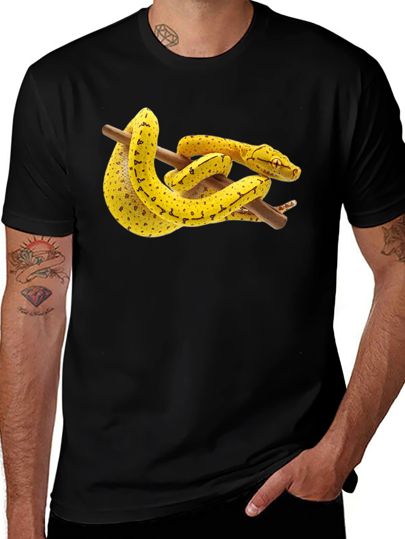 Snake on Branch Graphic T-Shirt - Black
