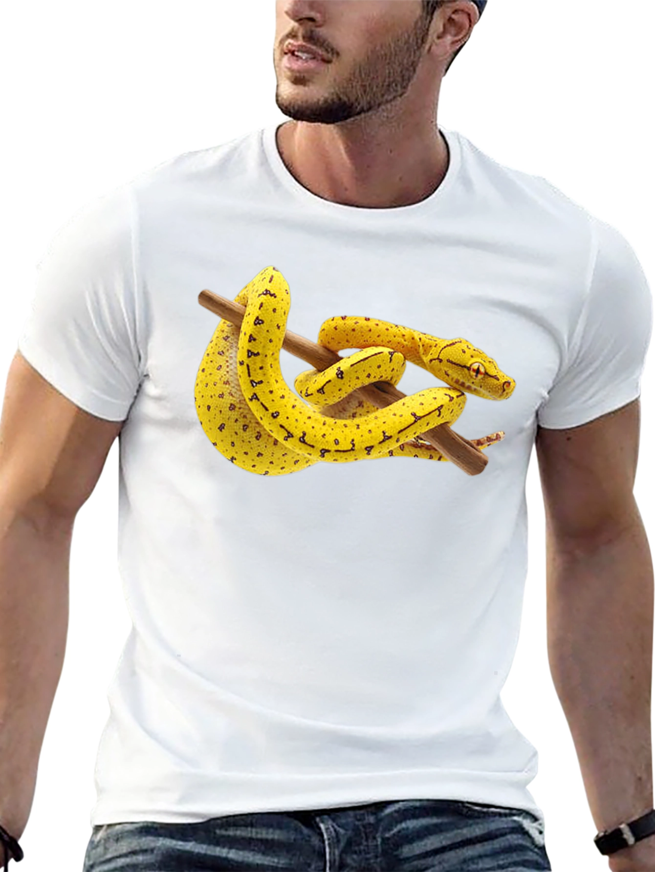Snake on Branch Graphic T-Shirt - Black