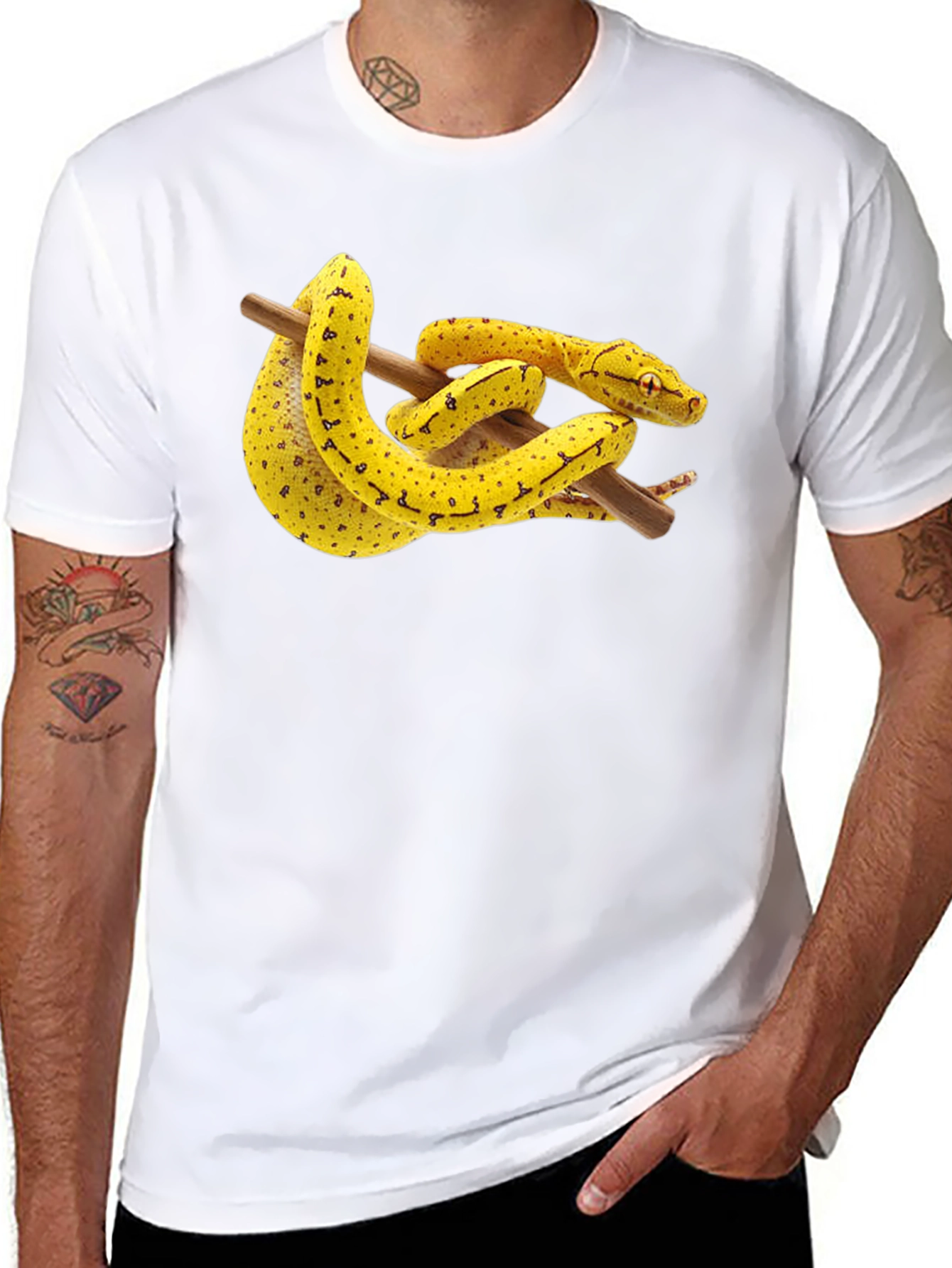 Snake on Branch Graphic T-Shirt - Black