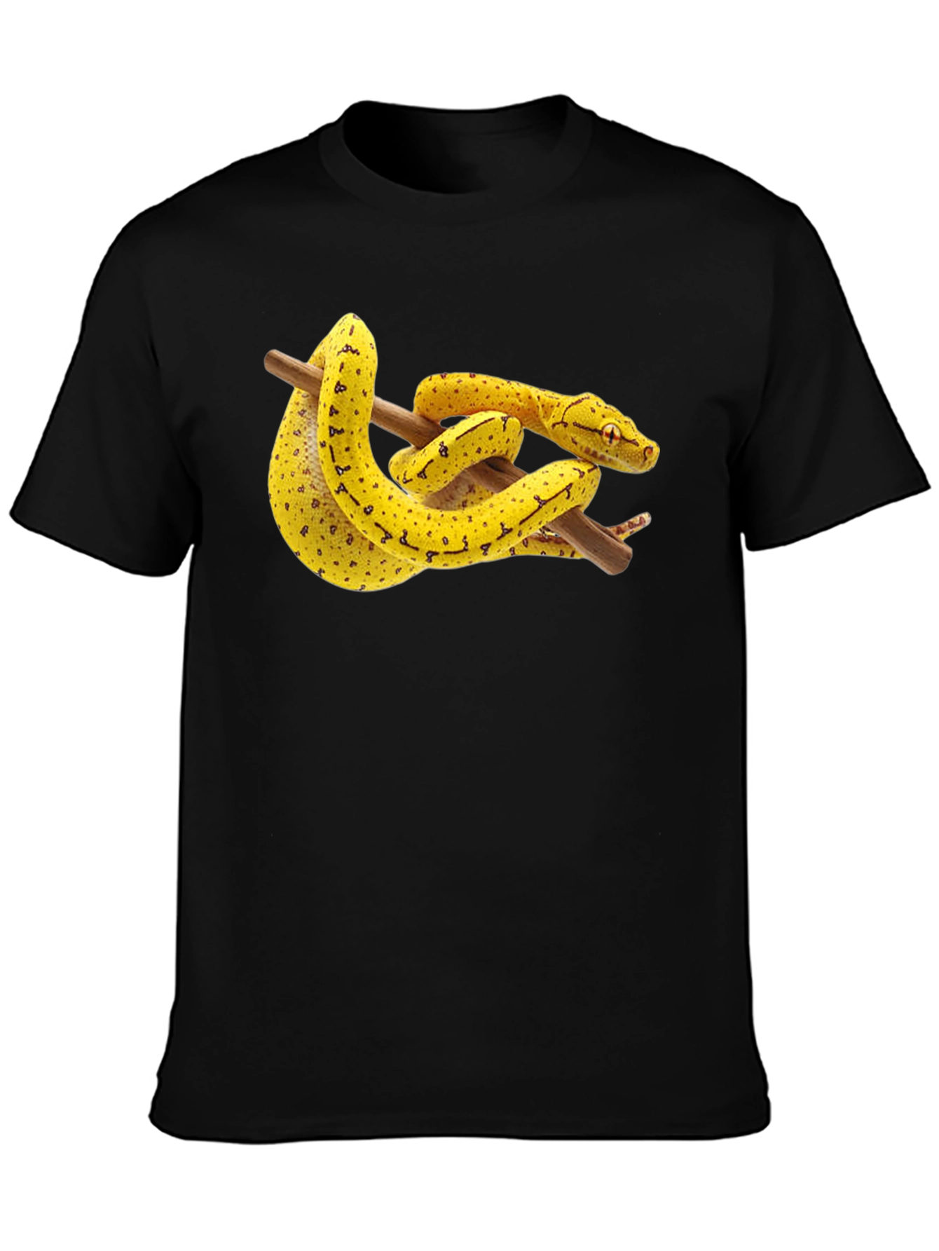 Snake on Branch Graphic T-Shirt - Black