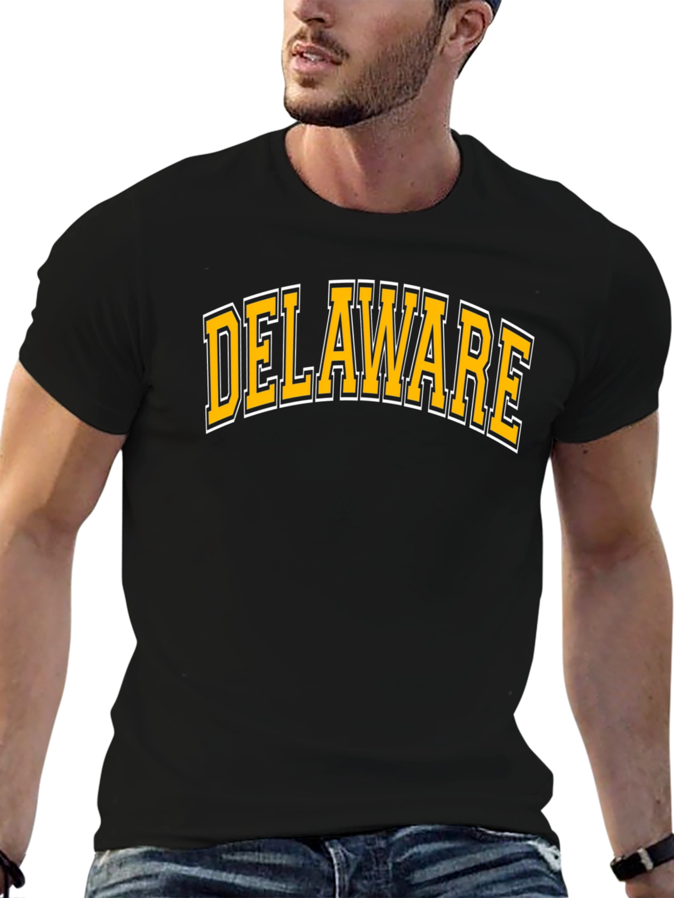 Delaware T-Shirt: Classic State Pride Tee