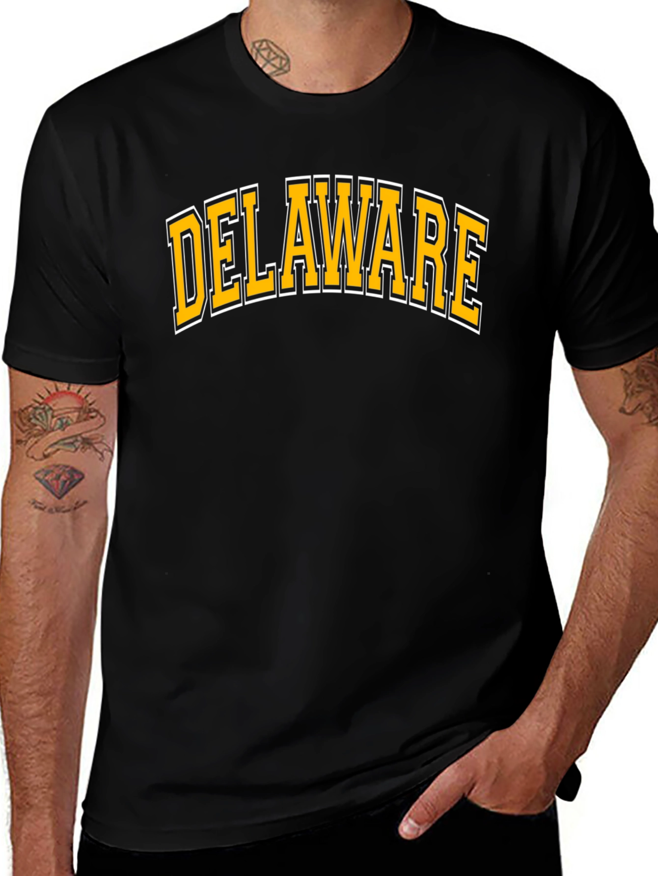 Delaware T-Shirt: Classic State Pride Tee