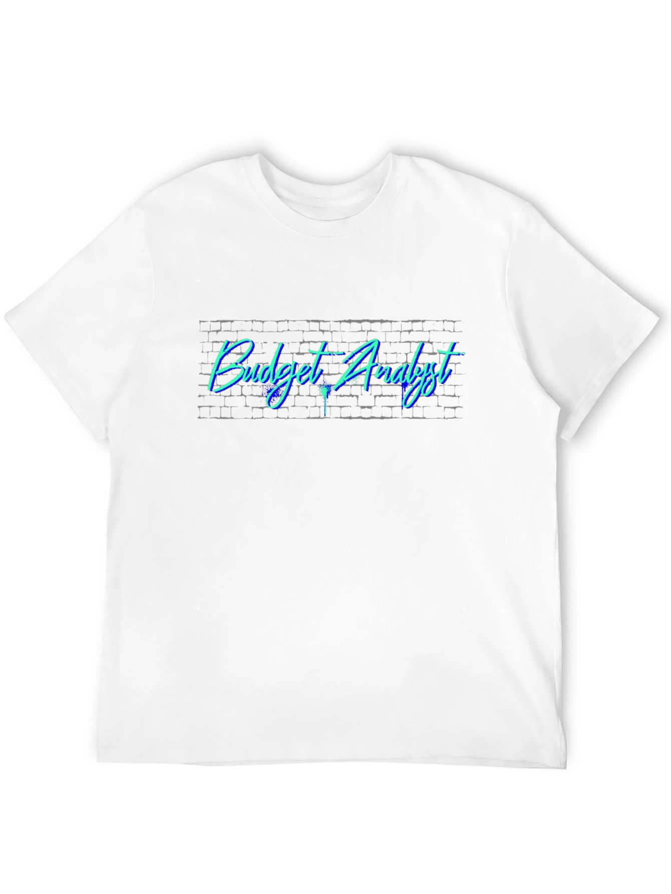 Budget Analyst Tee - Cool Brick Design