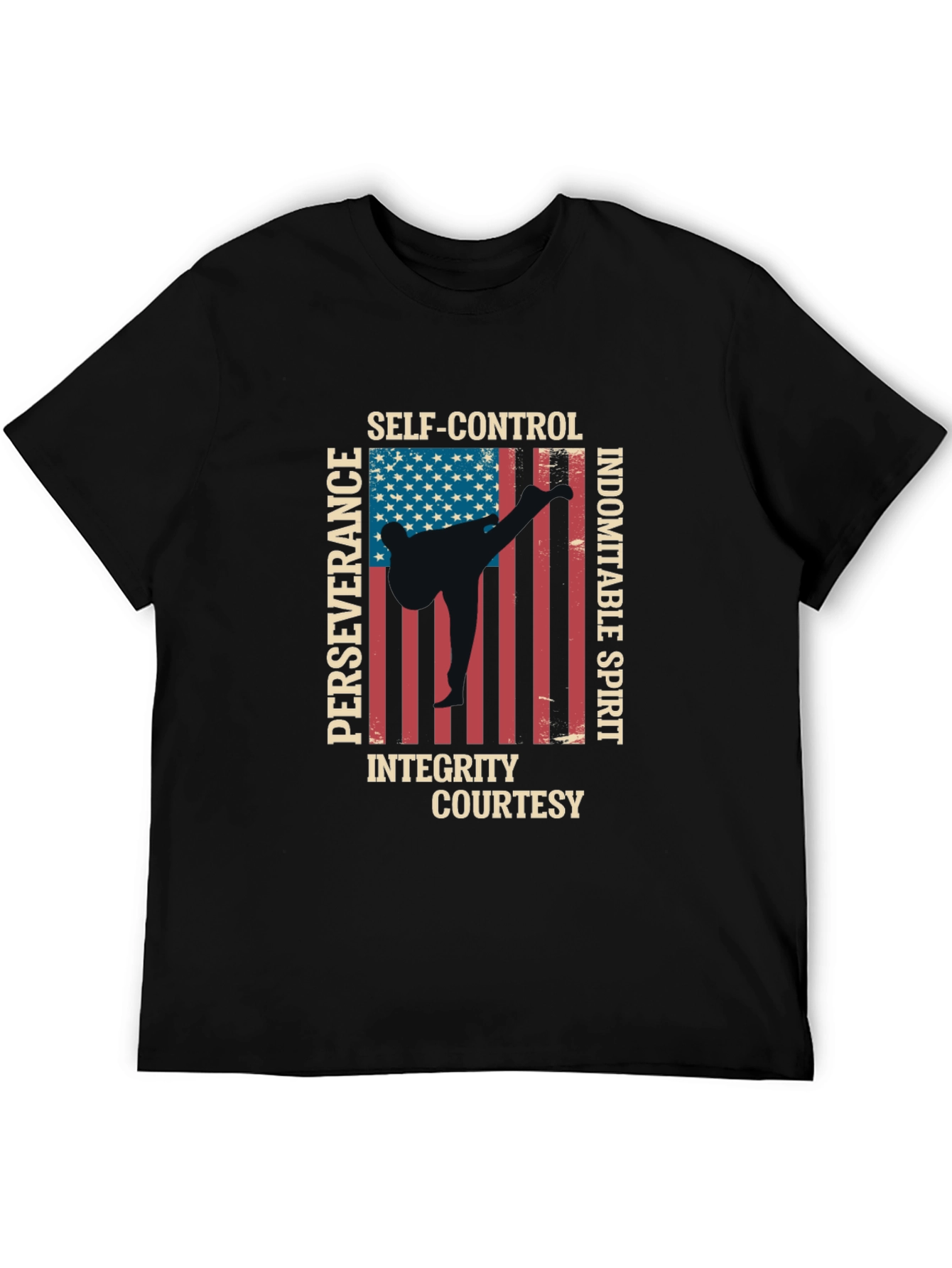 Martial Arts USA Flag T-Shirt