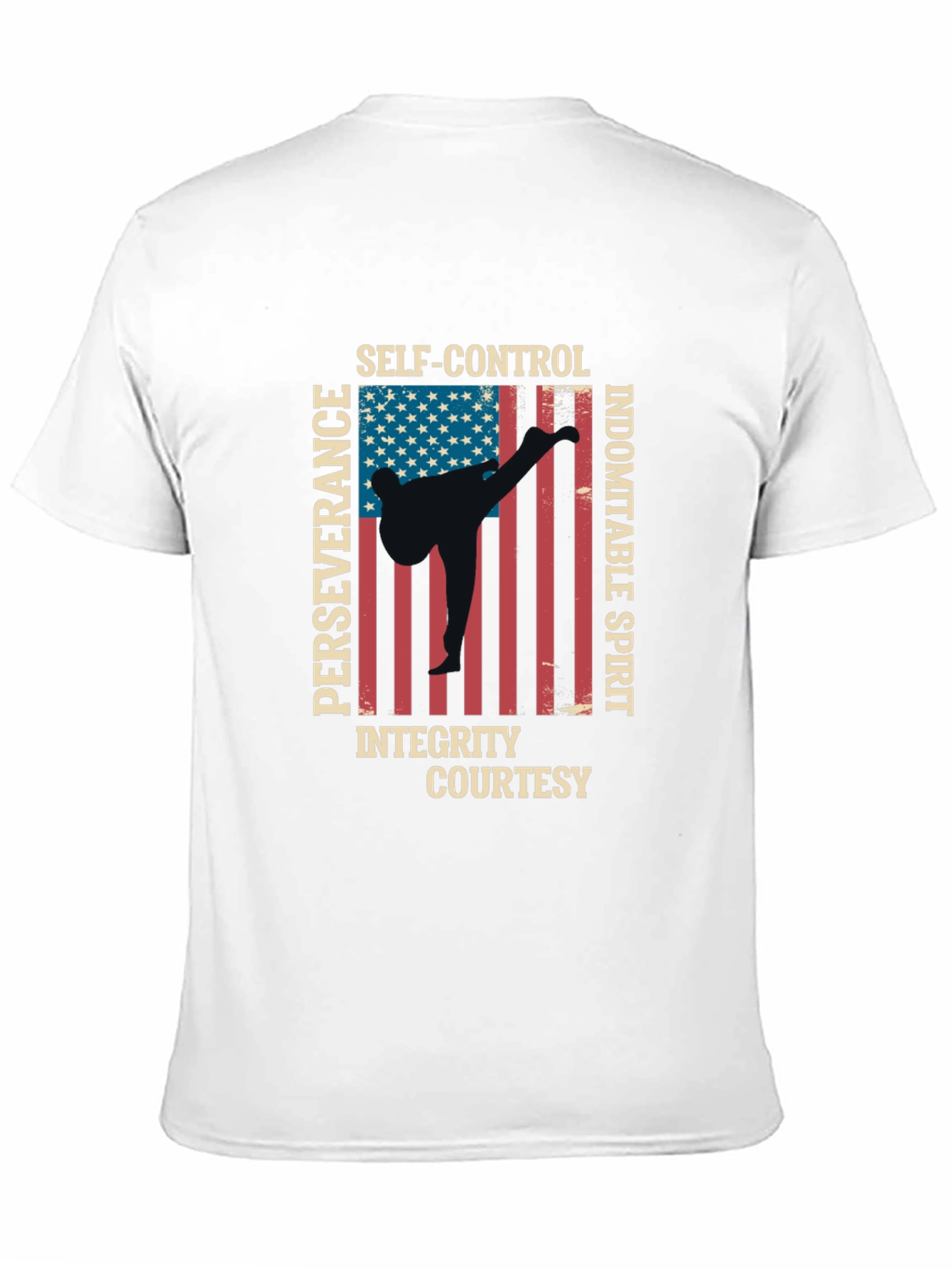 Martial Arts USA Flag T-Shirt