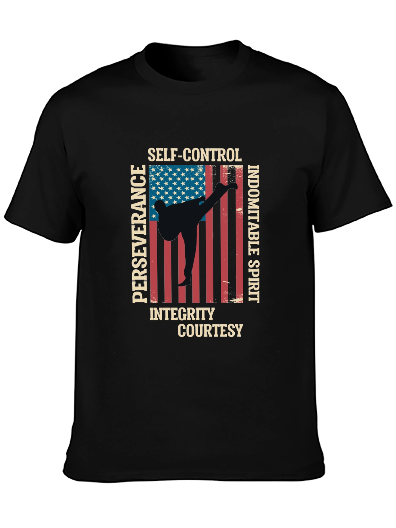 Martial Arts USA Flag T-Shirt