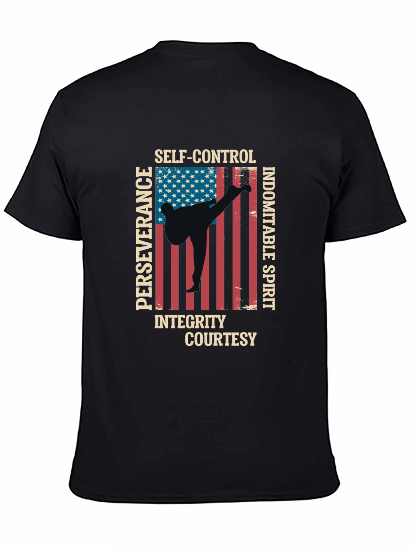 Martial Arts USA Flag T-Shirt