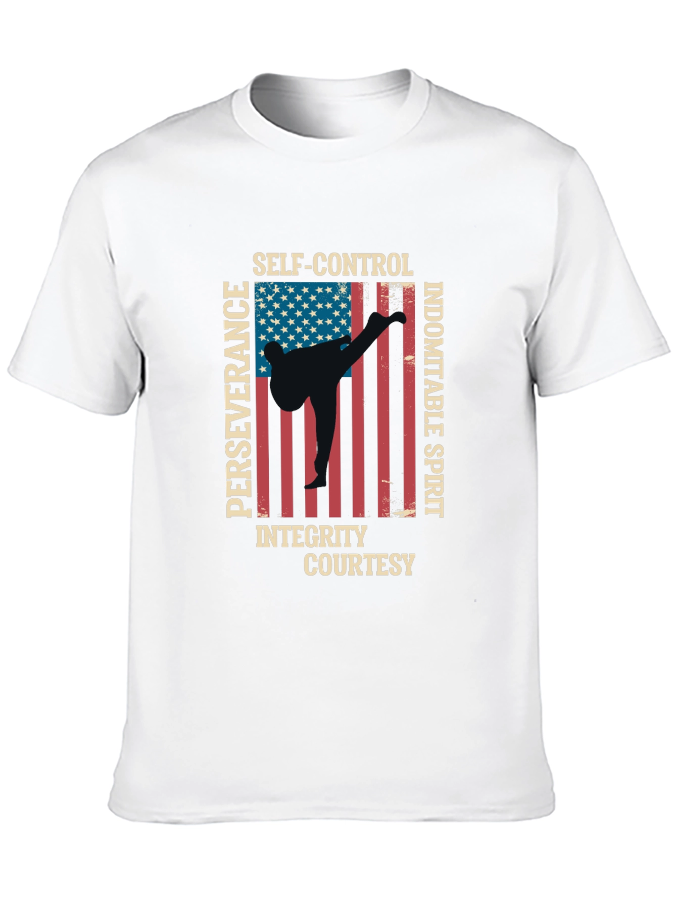 Martial Arts USA Flag T-Shirt