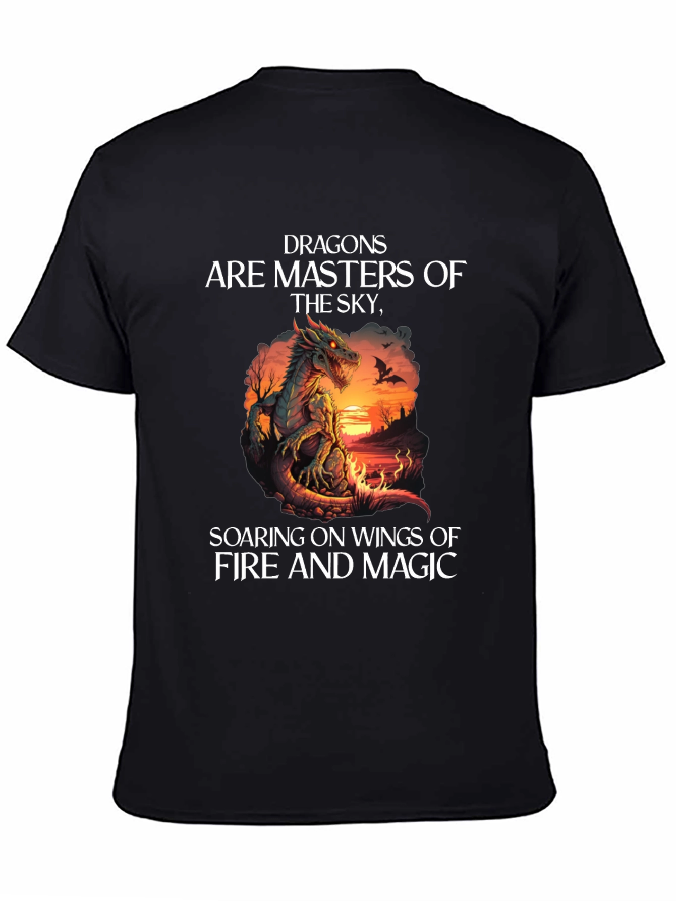 Dragons Masters of the Sky T-Shirt