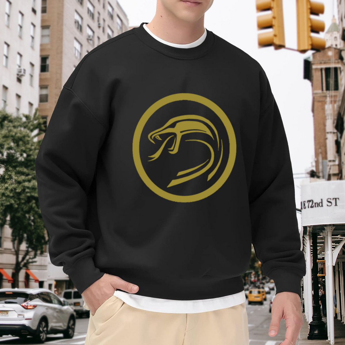 Minimalist Bird & Shield Emblem Graphic ԲÁìÎÀÒÂ - Unique Design Pullover Sweatshirt