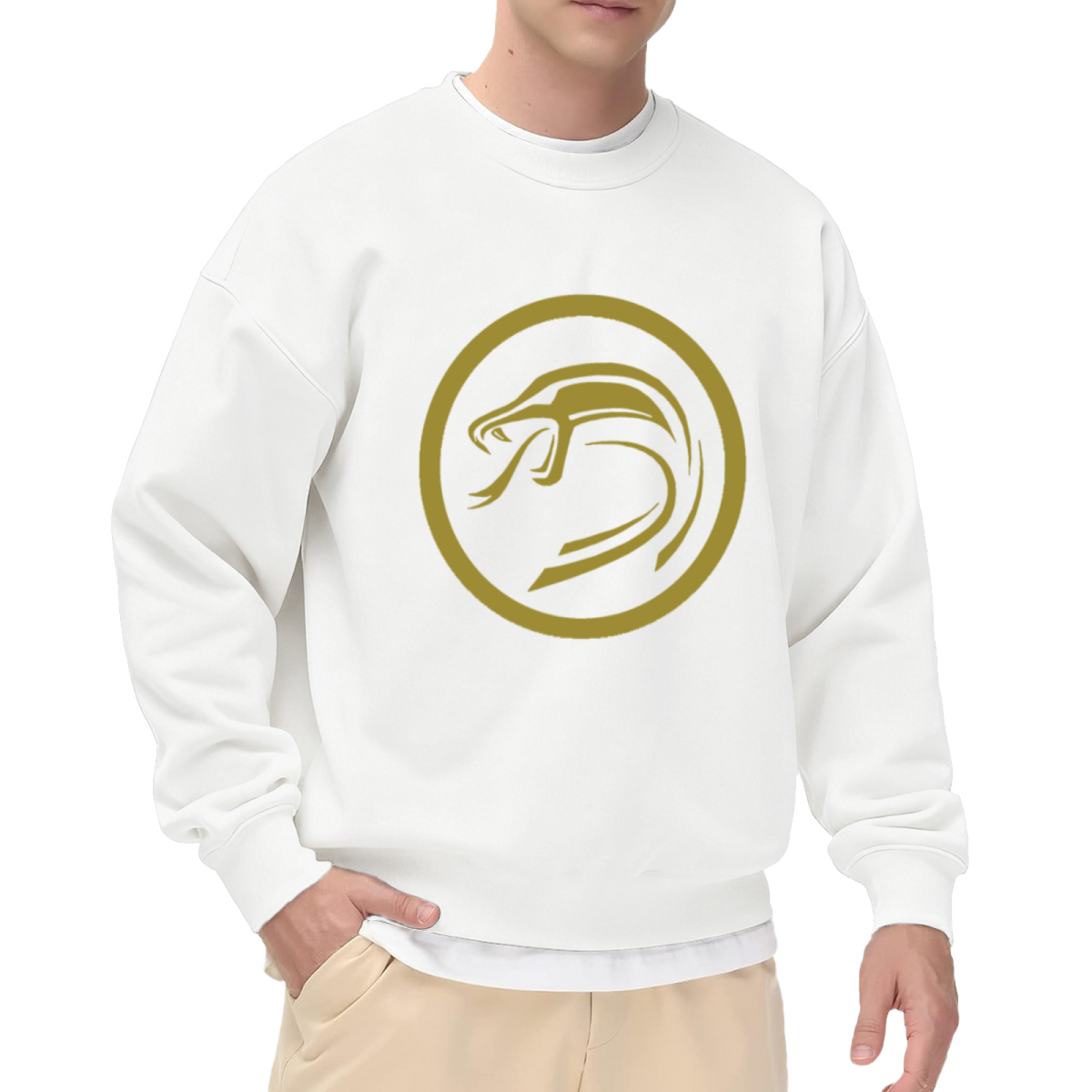 Minimalist Bird & Shield Emblem Graphic ԲÁìÎÀÒÂ - Unique Design Pullover Sweatshirt