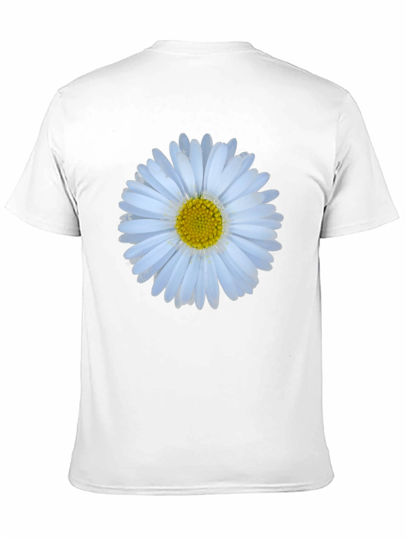 Daisy Flower Graphic Print T-Shirt