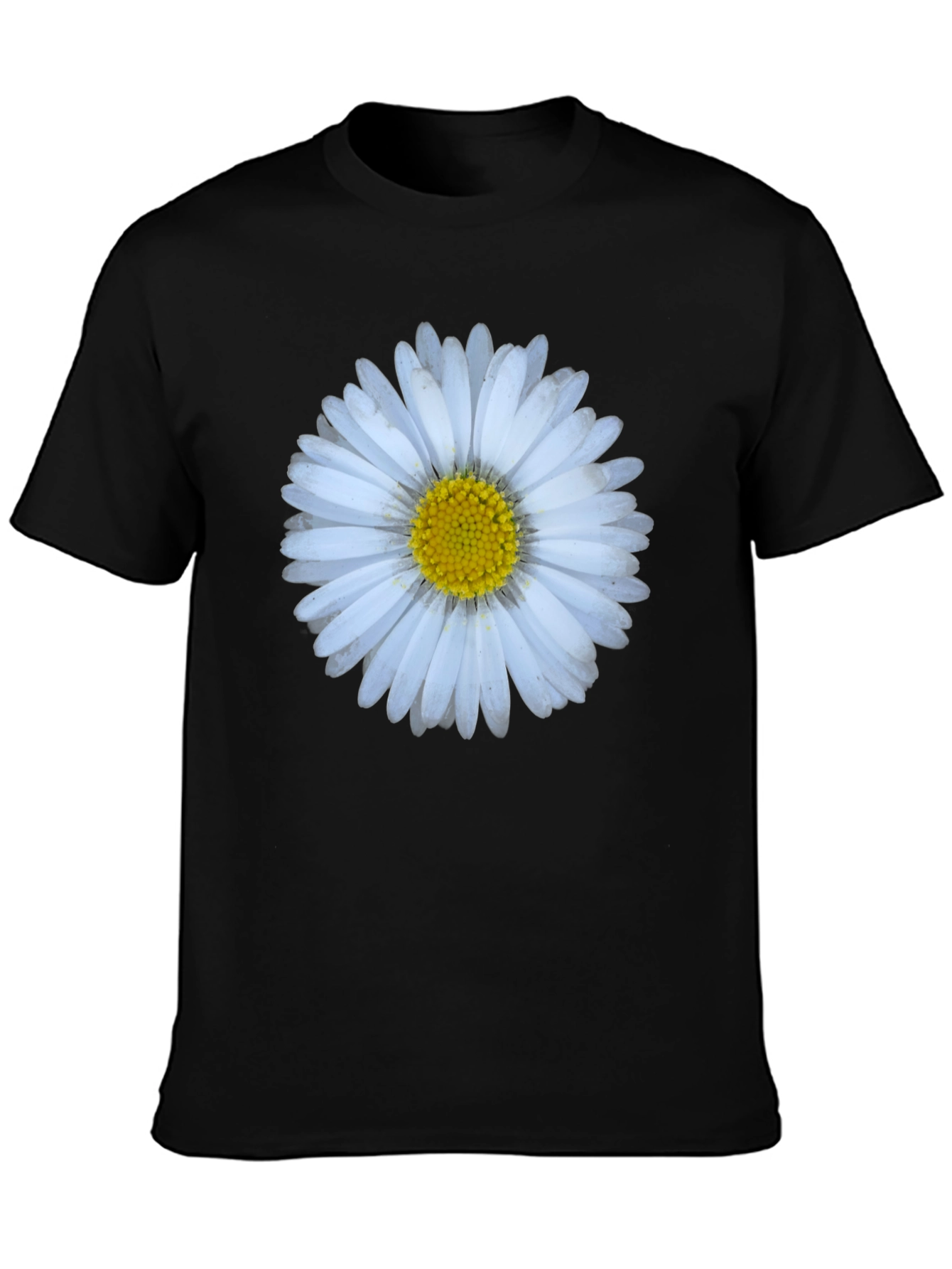 Daisy Flower Graphic Print T-Shirt