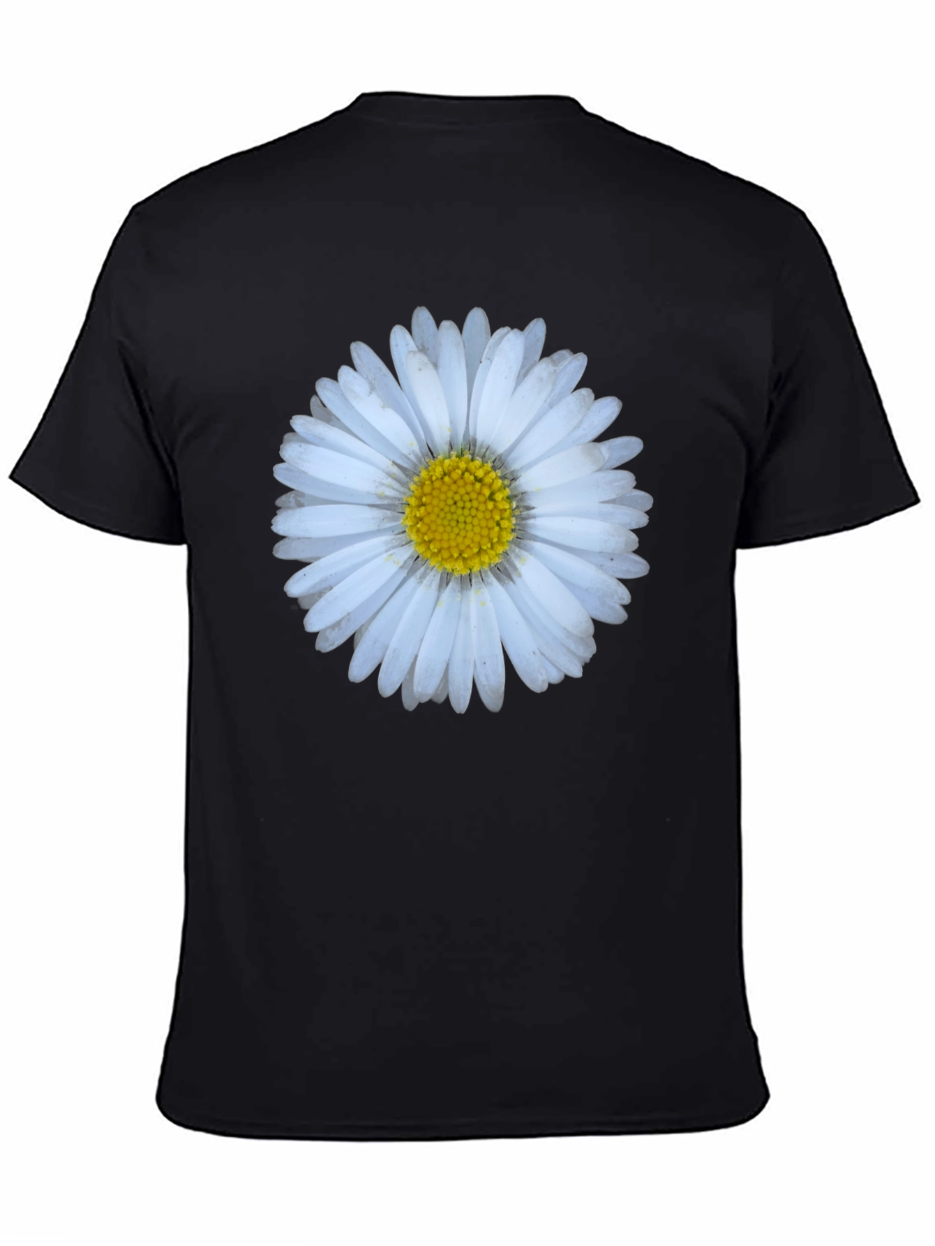 Daisy Flower Graphic Print T-Shirt