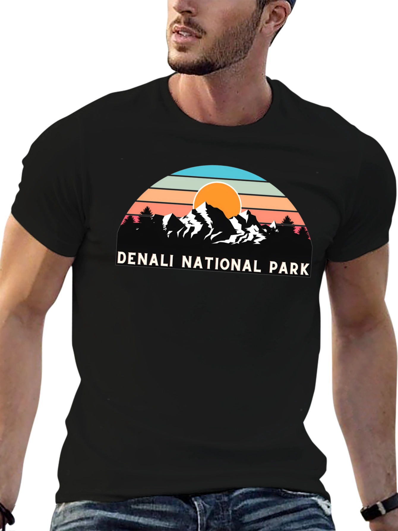 Denali National Park Retro Graphic T-Shirt