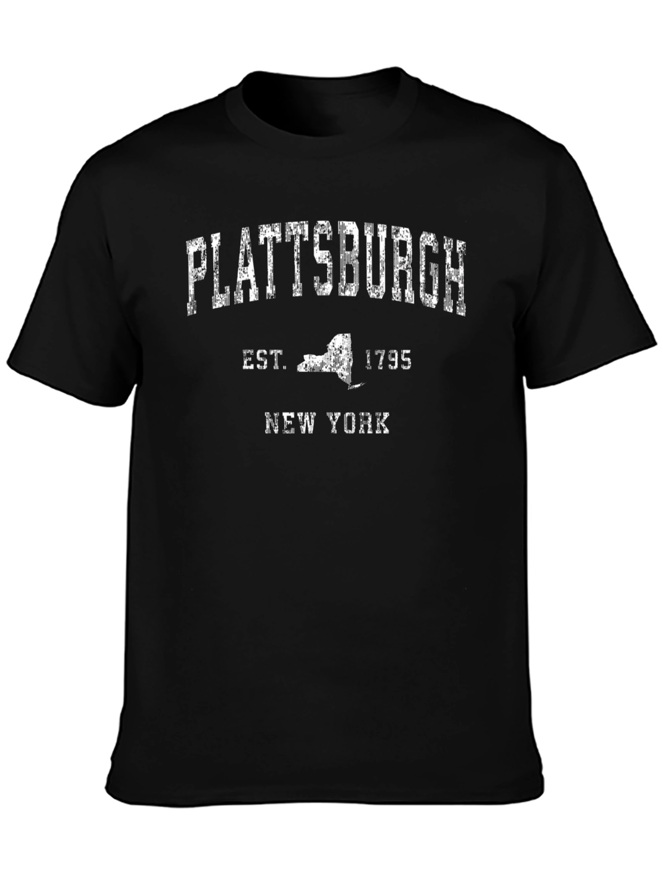 Plattsburgh New York Est 1795 Graphic T-Shirt