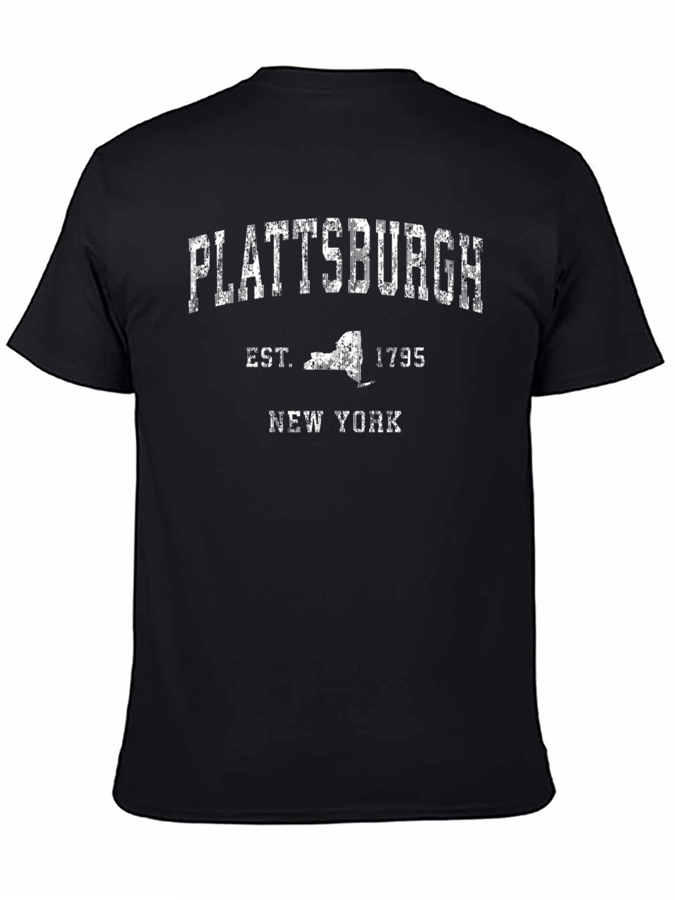 Plattsburgh New York Est 1795 Graphic T-Shirt