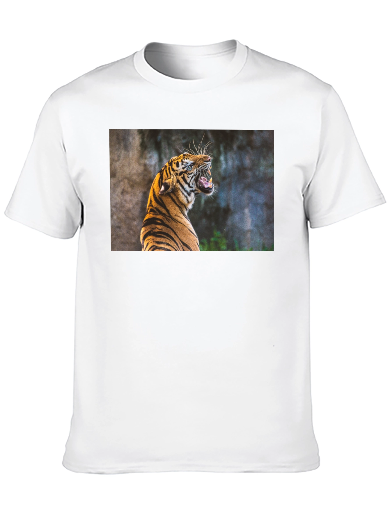 Tiger Graphic Tee - Black