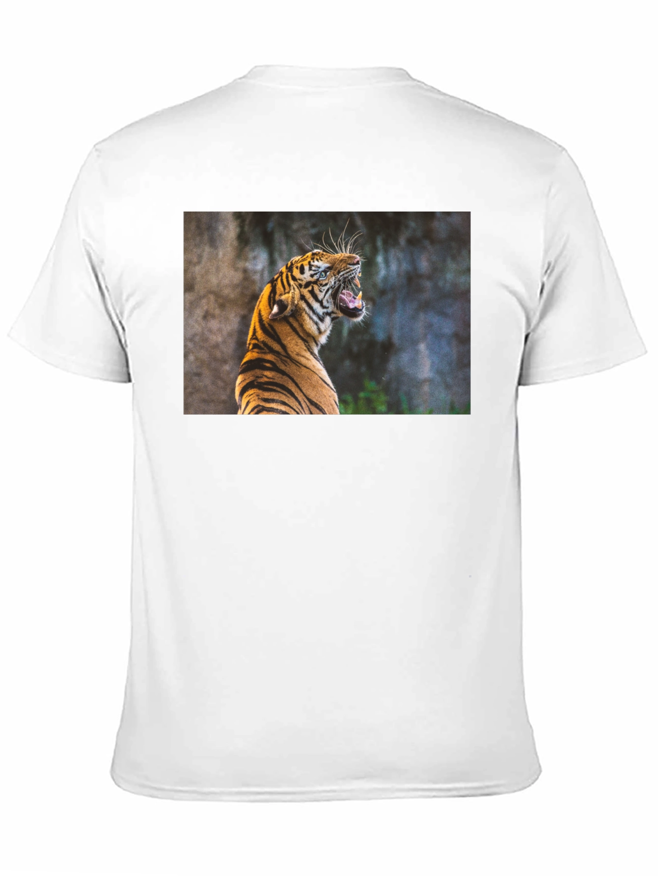 Tiger Graphic Tee - Black