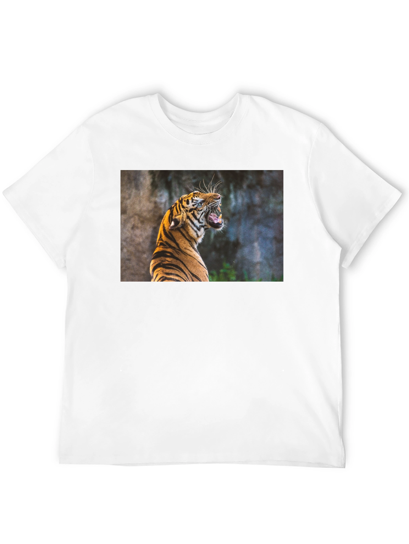 Tiger Graphic Tee - Black