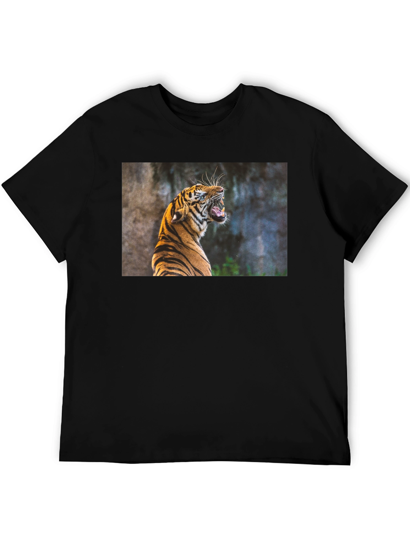 Tiger Graphic Tee - Black