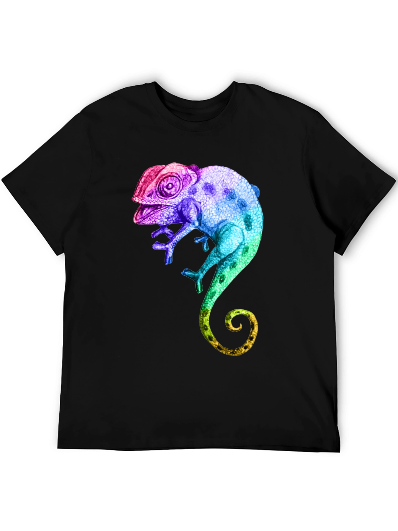 Rainbow Chameleon Graphic T-Shirt