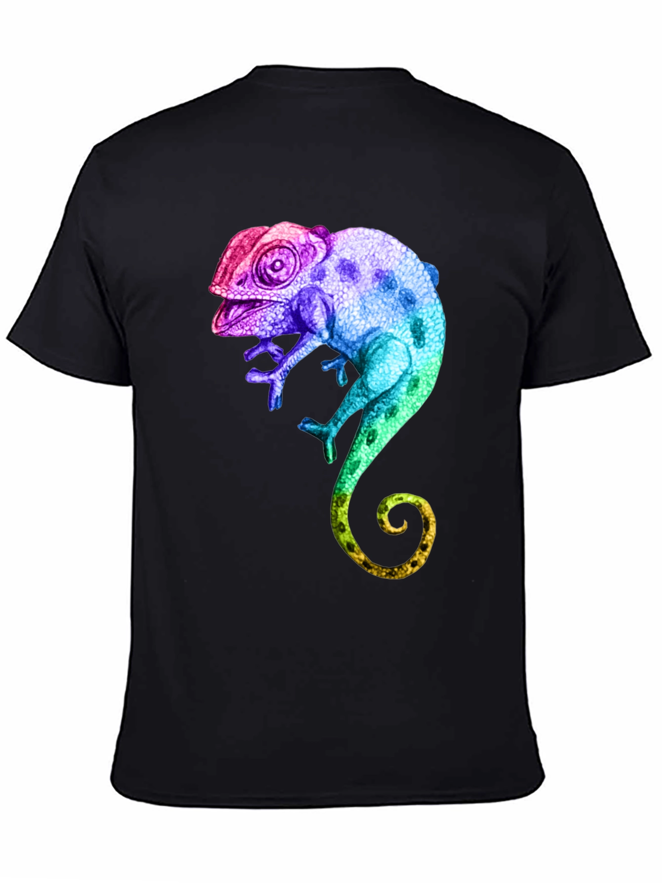 Rainbow Chameleon Graphic T-Shirt