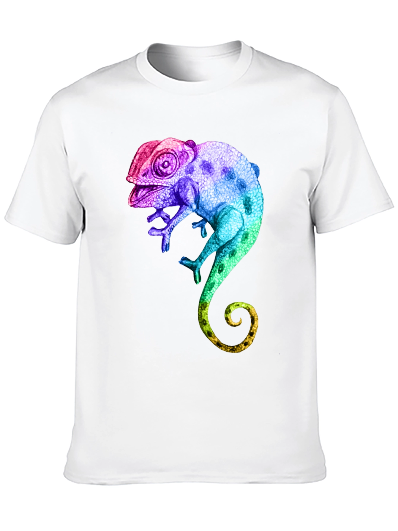 Rainbow Chameleon Graphic T-Shirt