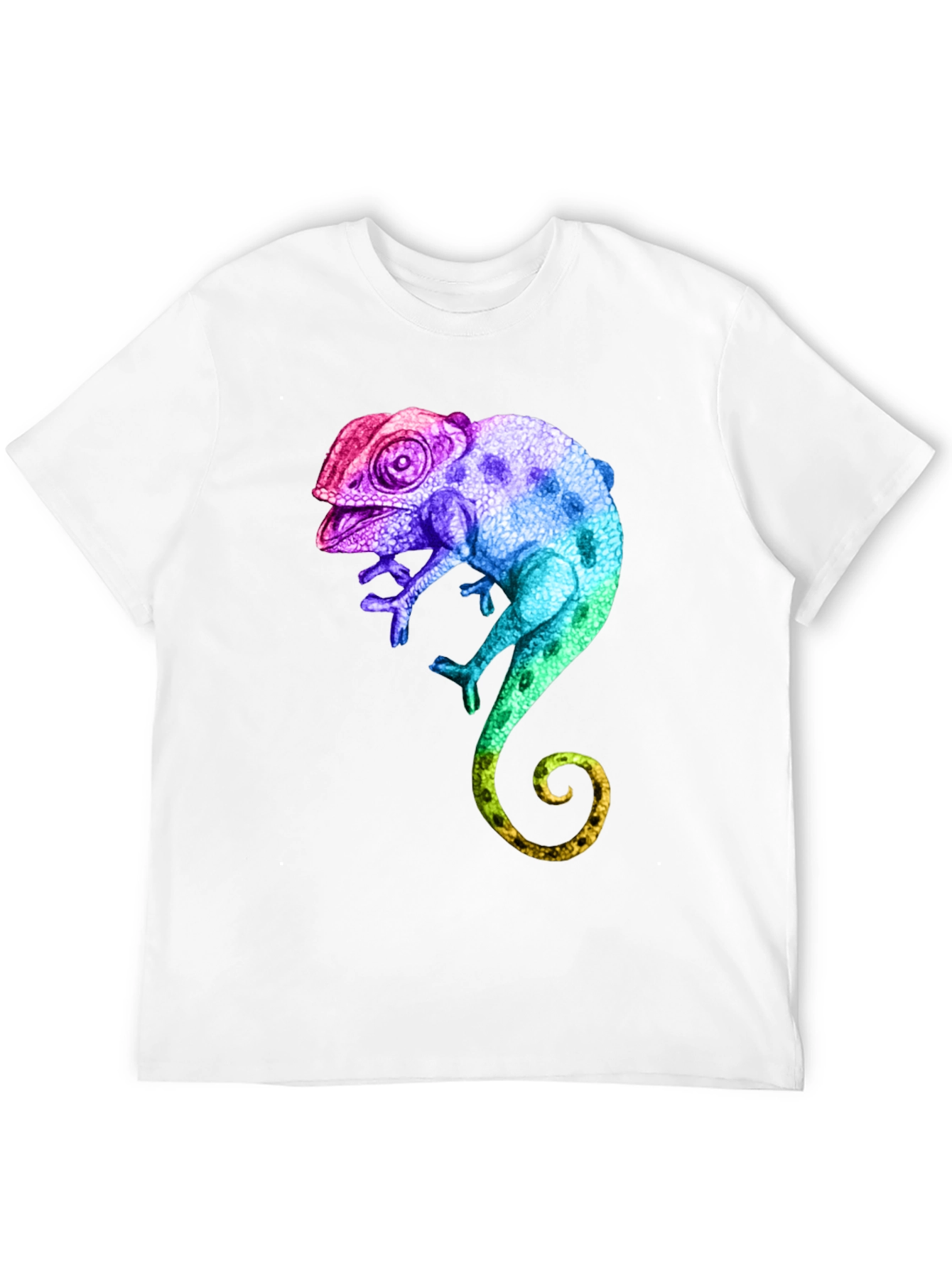 Rainbow Chameleon Graphic T-Shirt