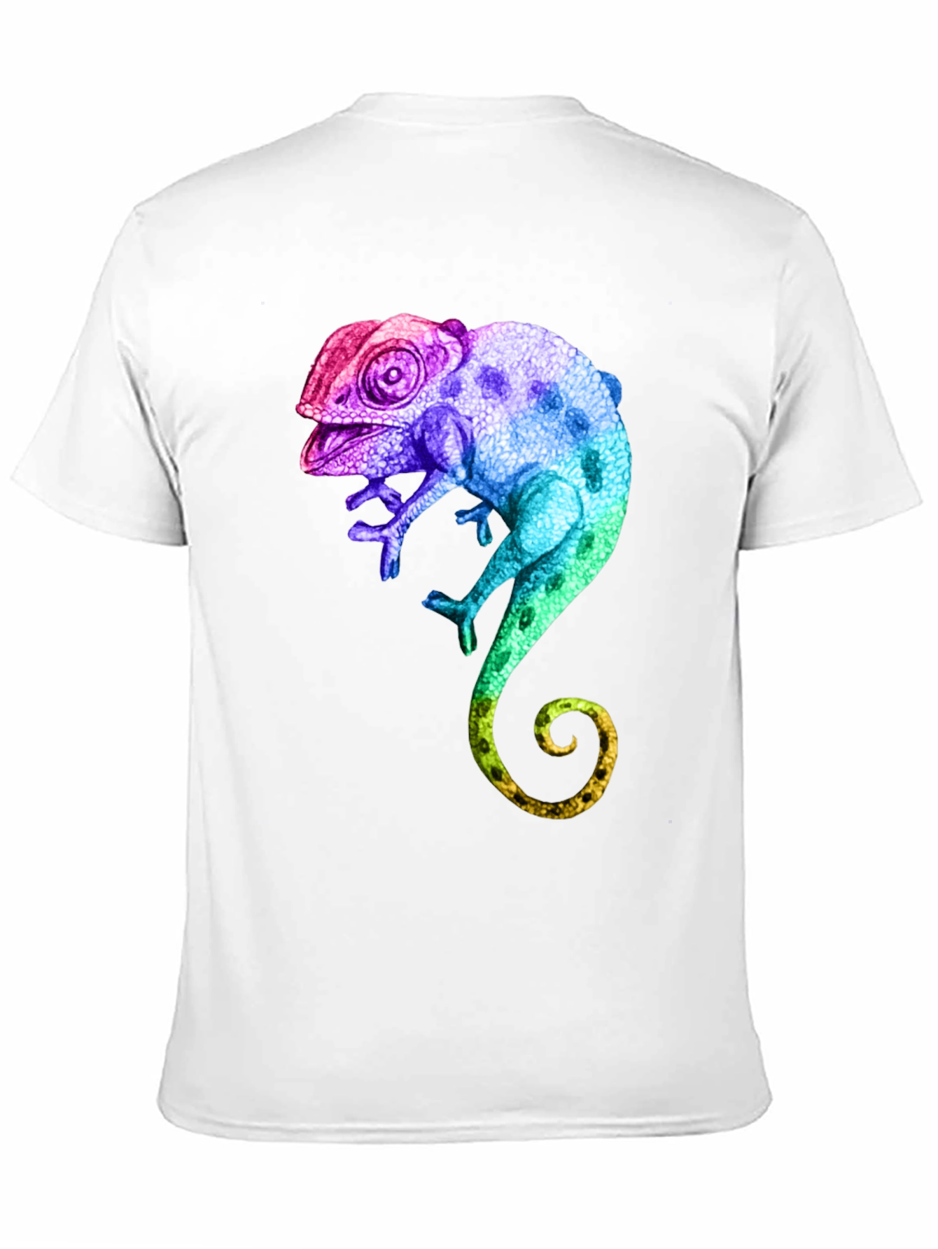Rainbow Chameleon Graphic T-Shirt