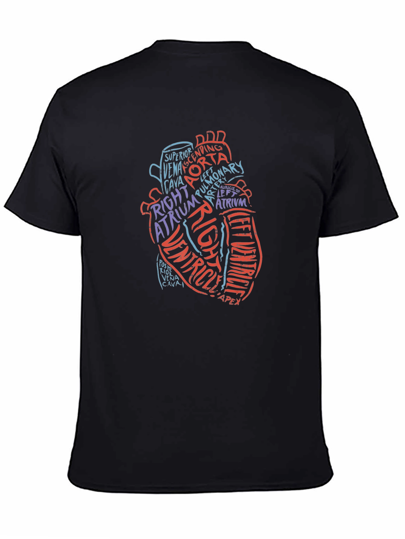 Anatomical Heart Word Art Graphic Tee - Black