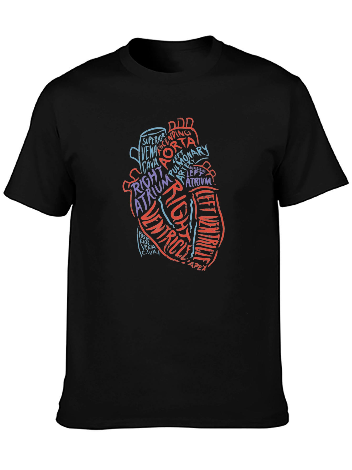 Anatomical Heart Word Art Graphic Tee - Black