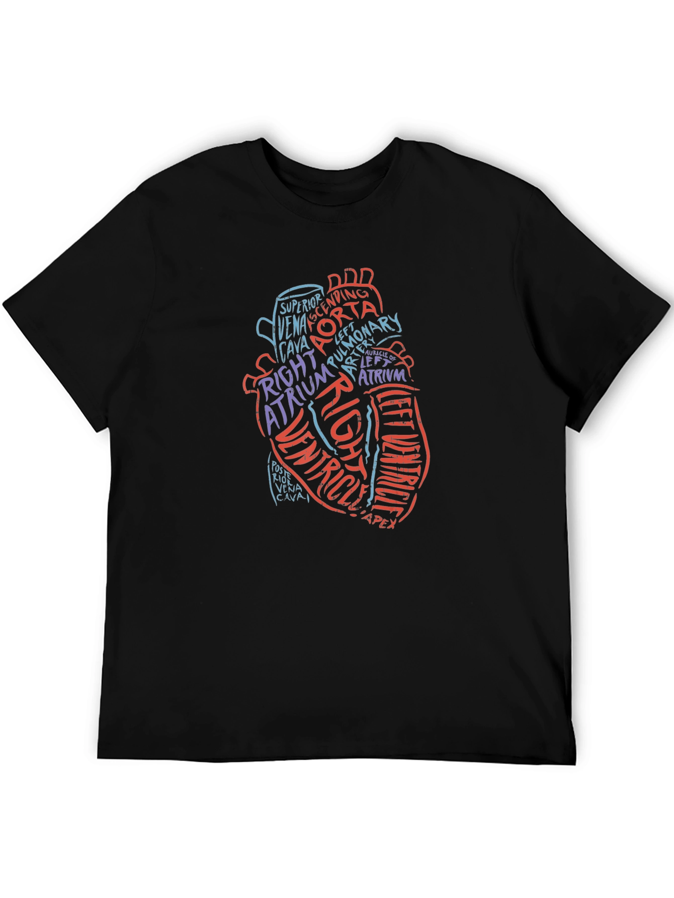 Anatomical Heart Word Art Graphic Tee - Black