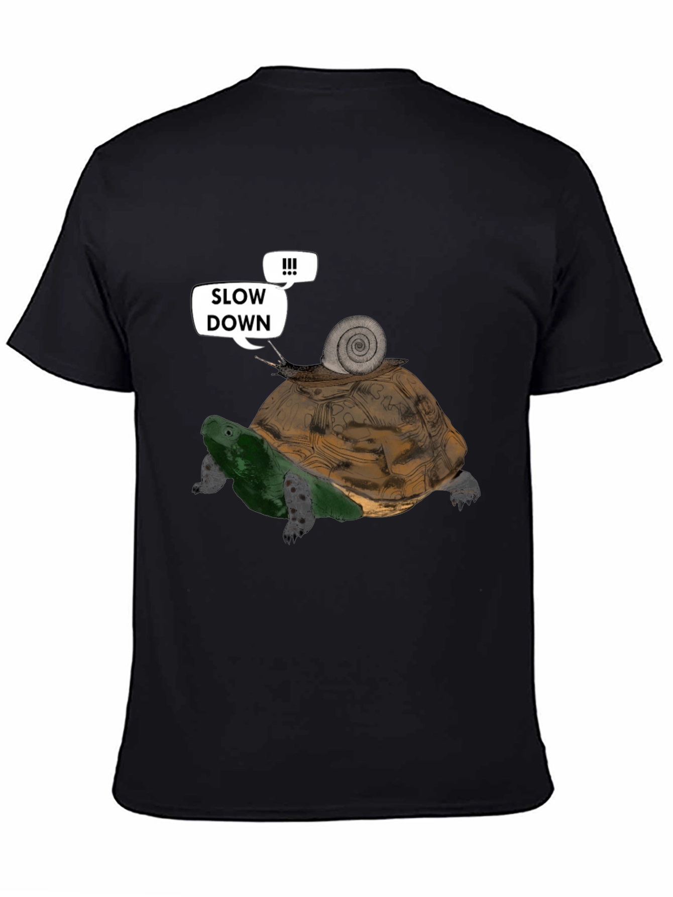 Slow Down Funny Turtle and Snail Graphic T-Shirt
