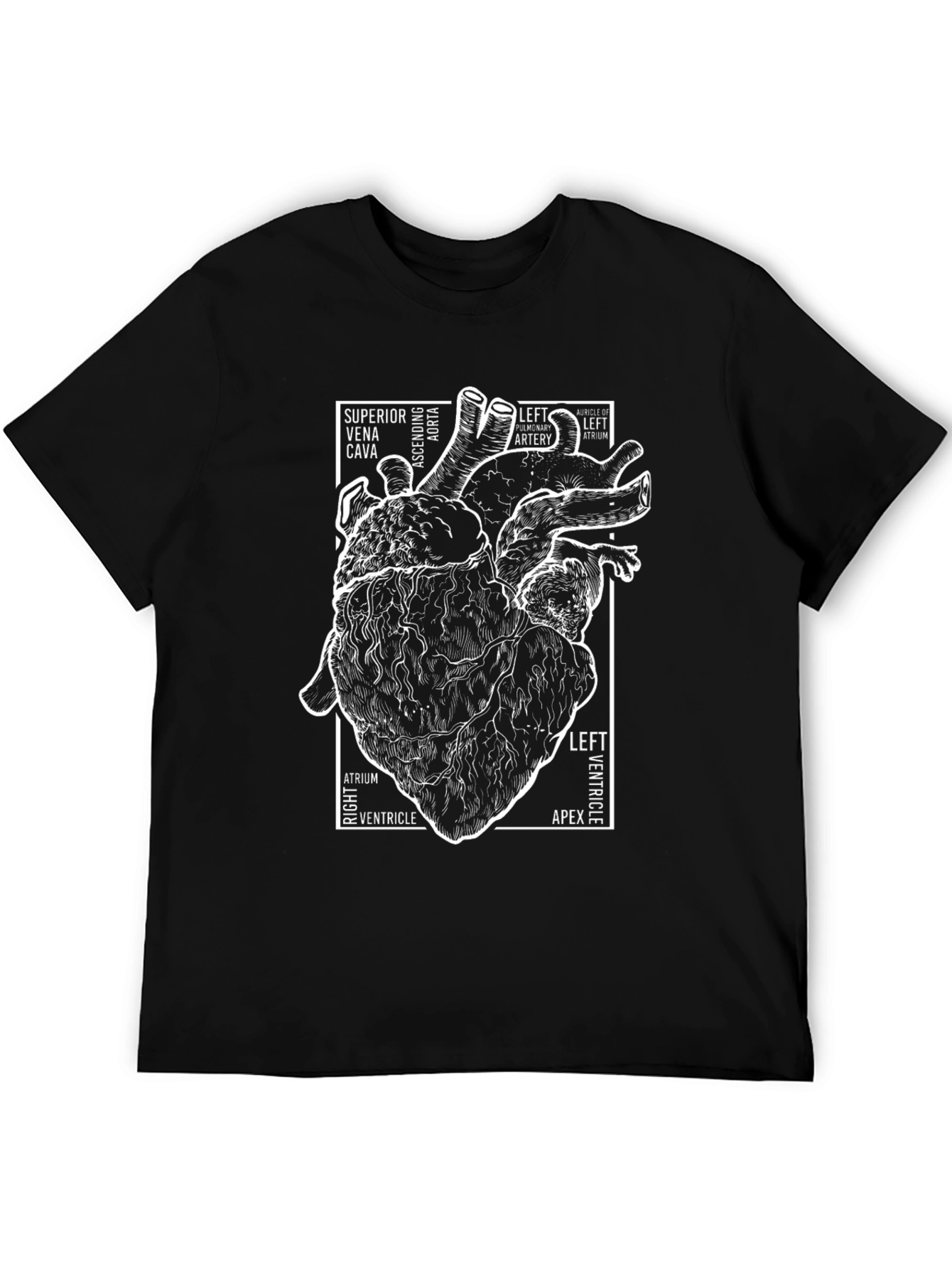Anatomical Heart T-Shirt - Science & Medical Tee