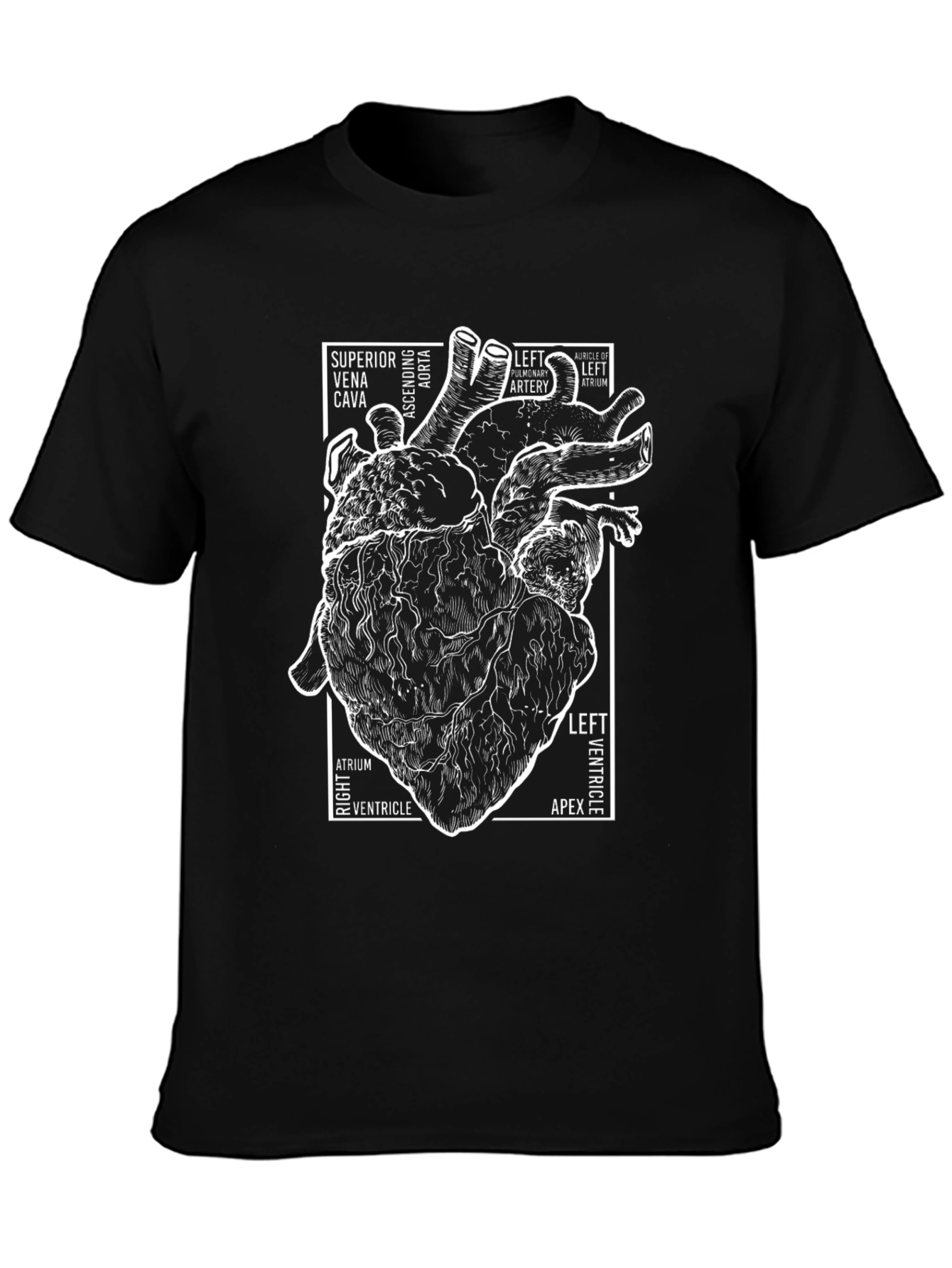 Anatomical Heart T-Shirt - Science & Medical Tee
