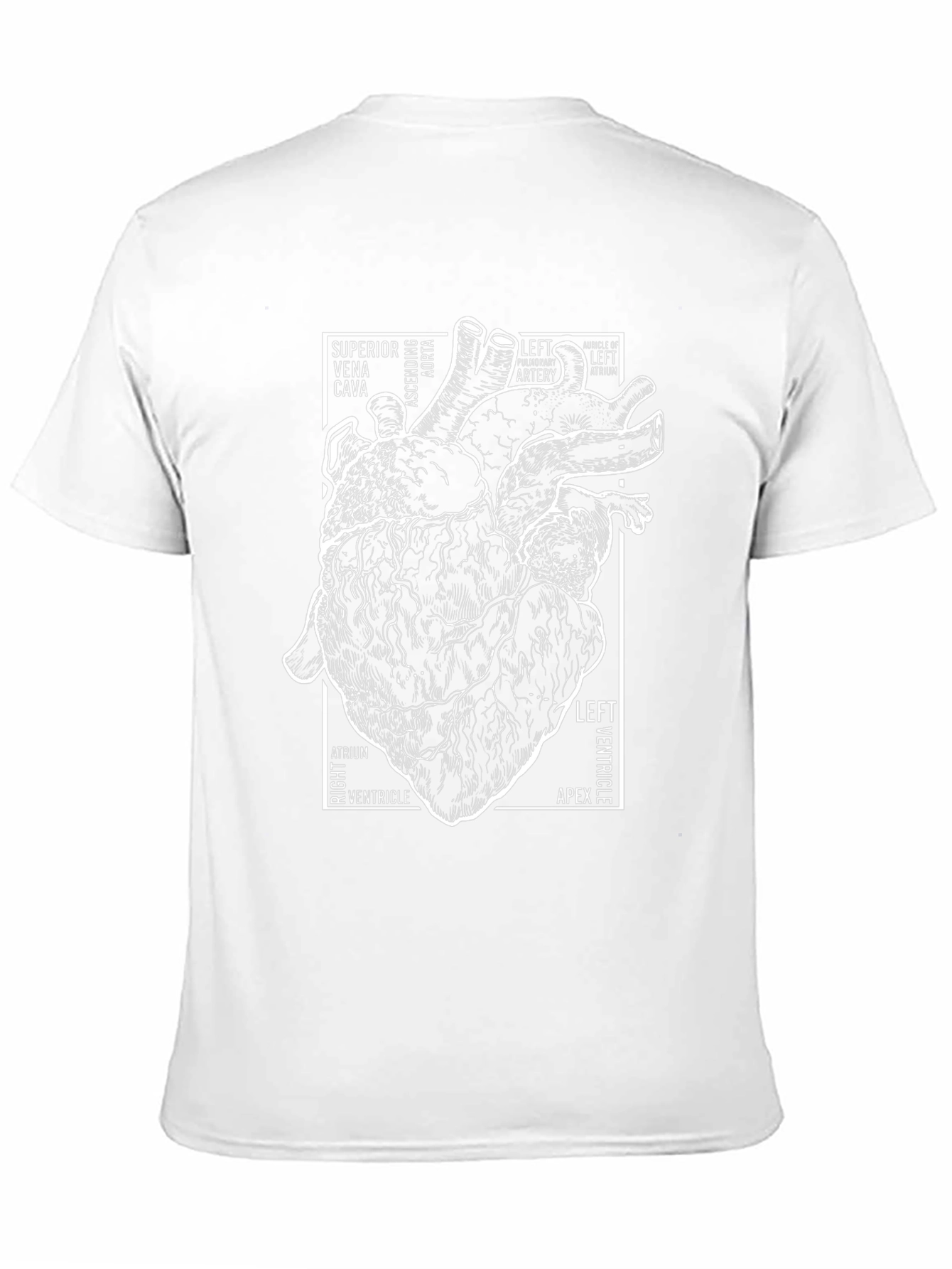 Anatomical Heart T-Shirt - Science & Medical Tee