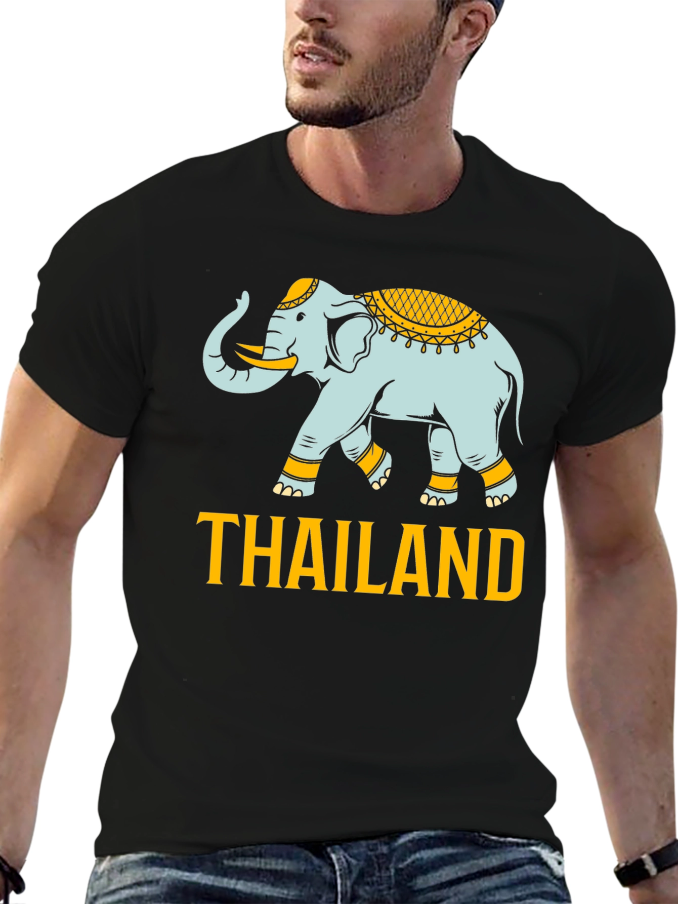 Thailand Elephant Graphic Print T-Shirt