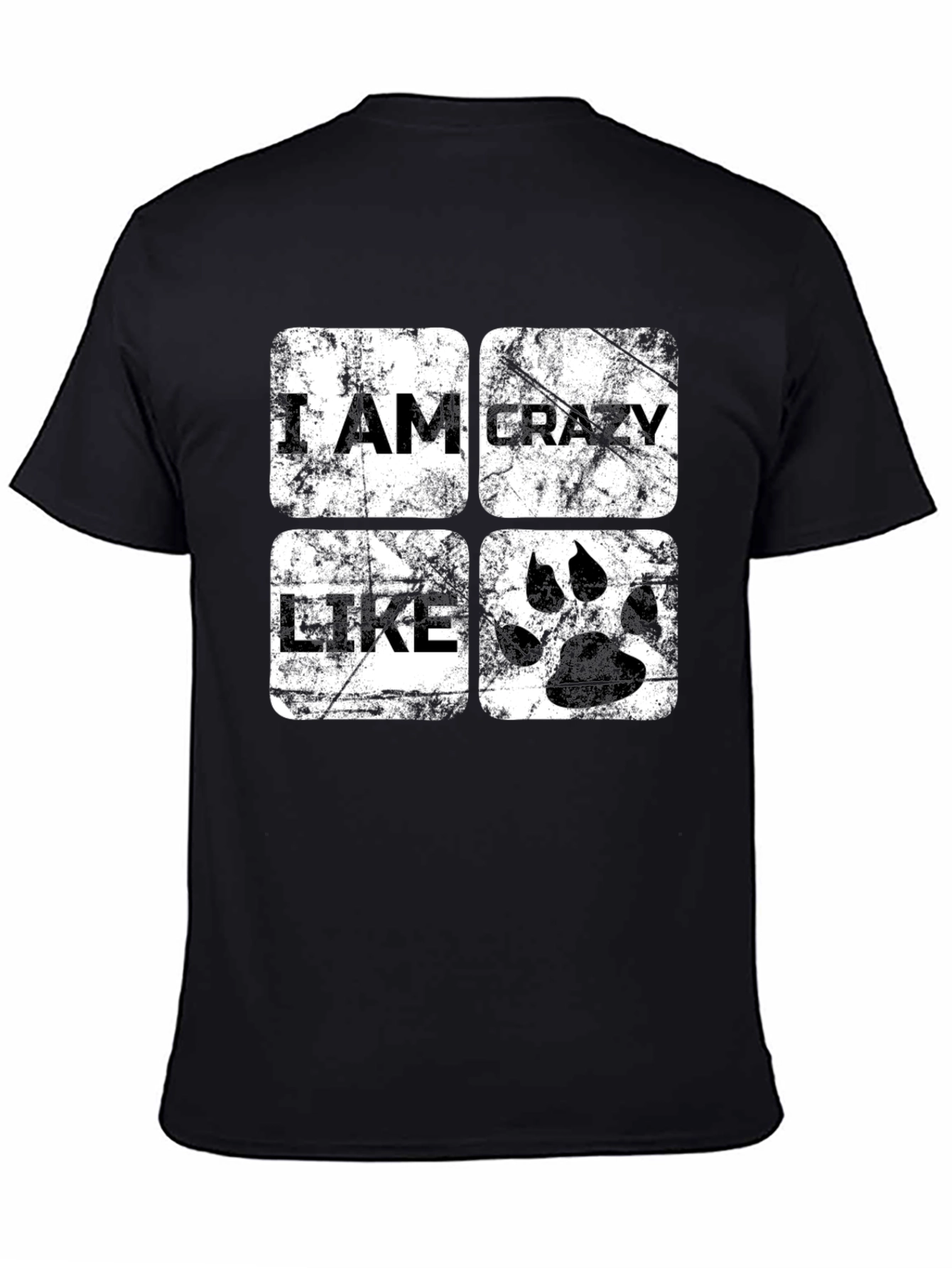 I Am Crazy Like T-Shirt