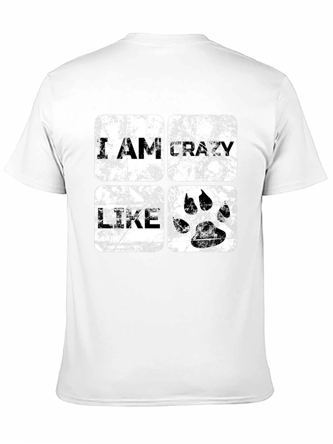 I Am Crazy Like T-Shirt