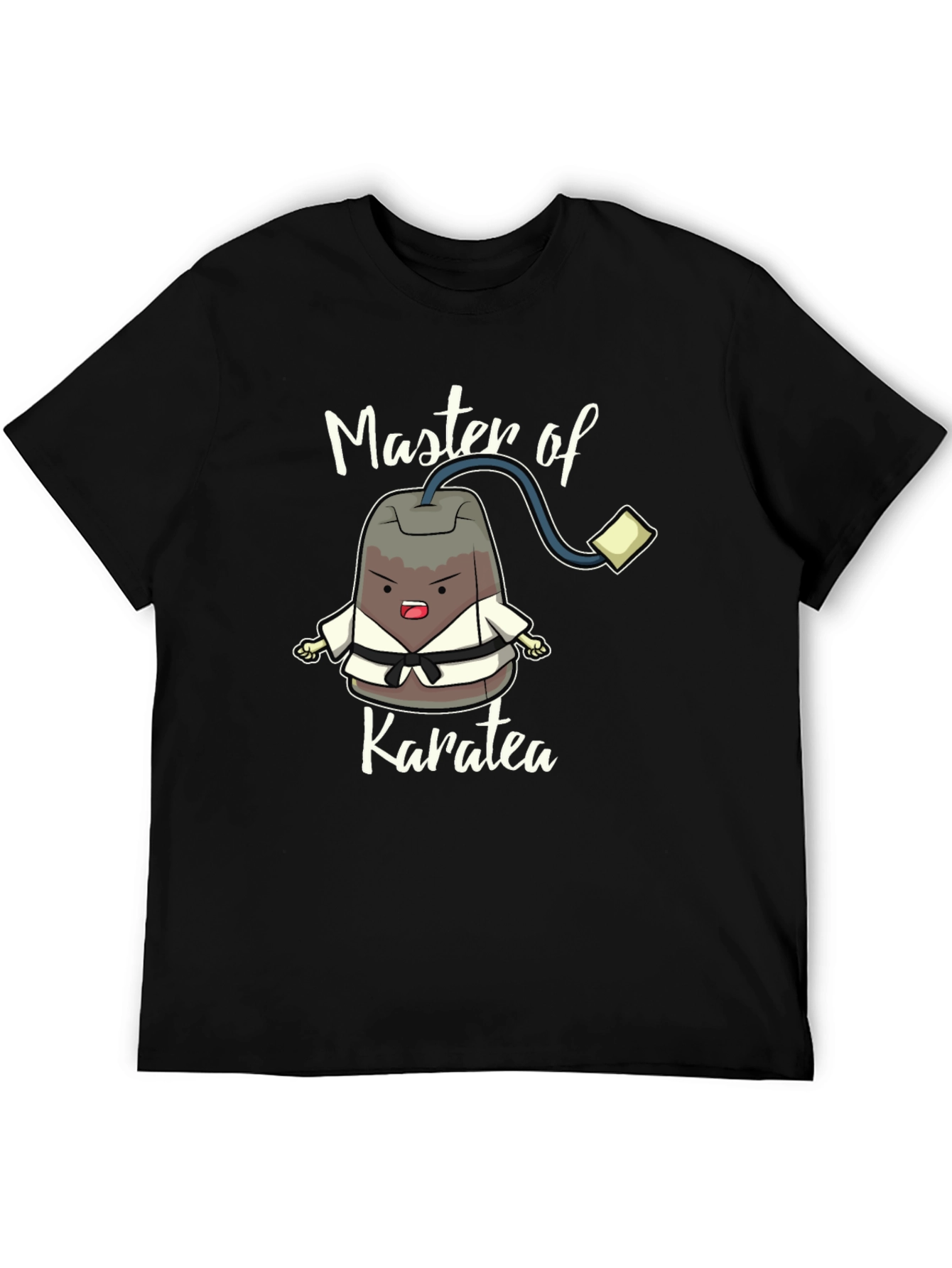 Master of Karatea Funny Graphic Tee
