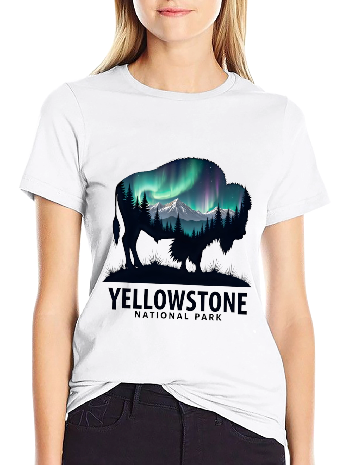 Yellowstone Bison Aurora Mens T-Shirt