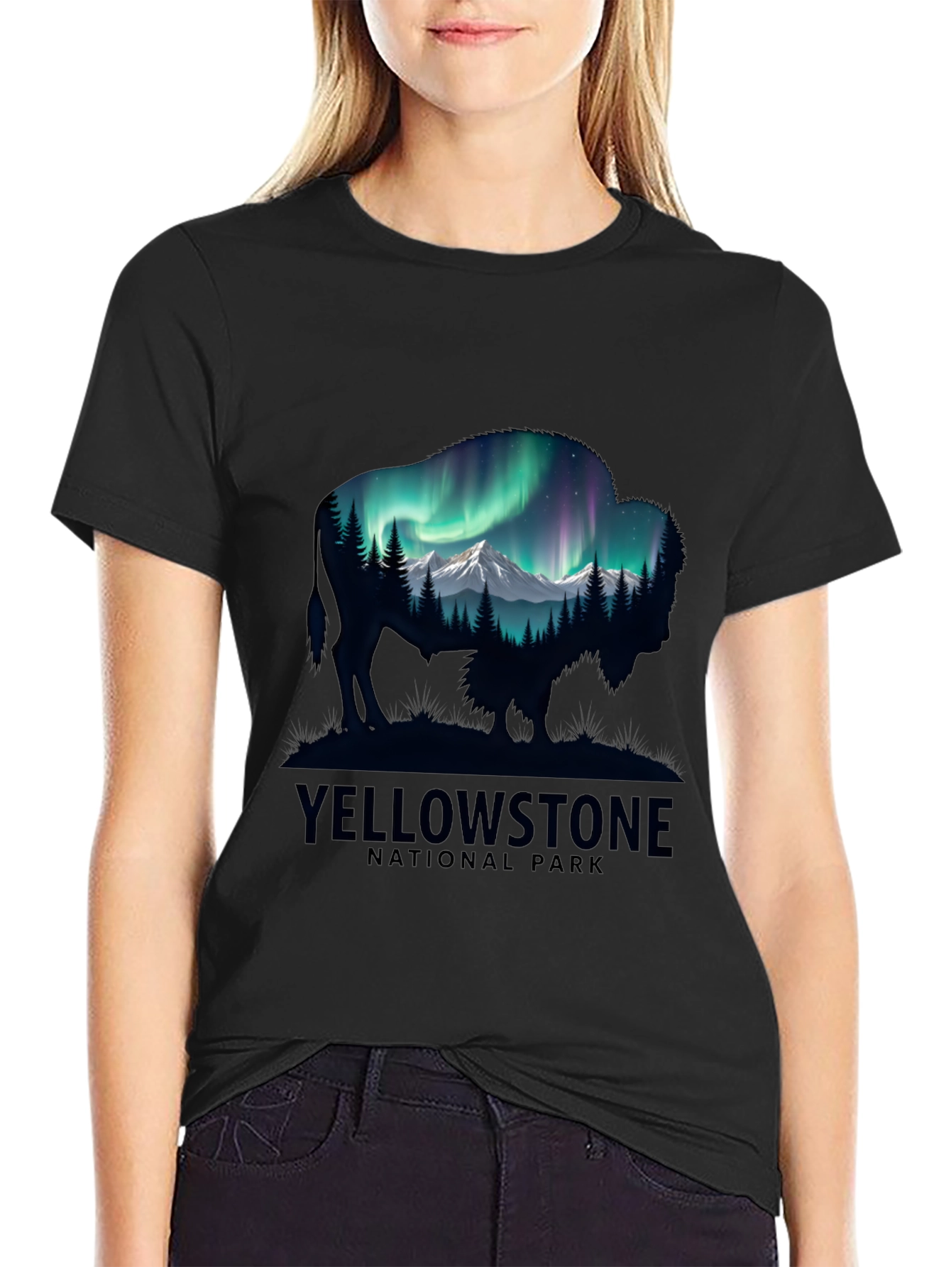 Yellowstone Bison Aurora Mens T-Shirt