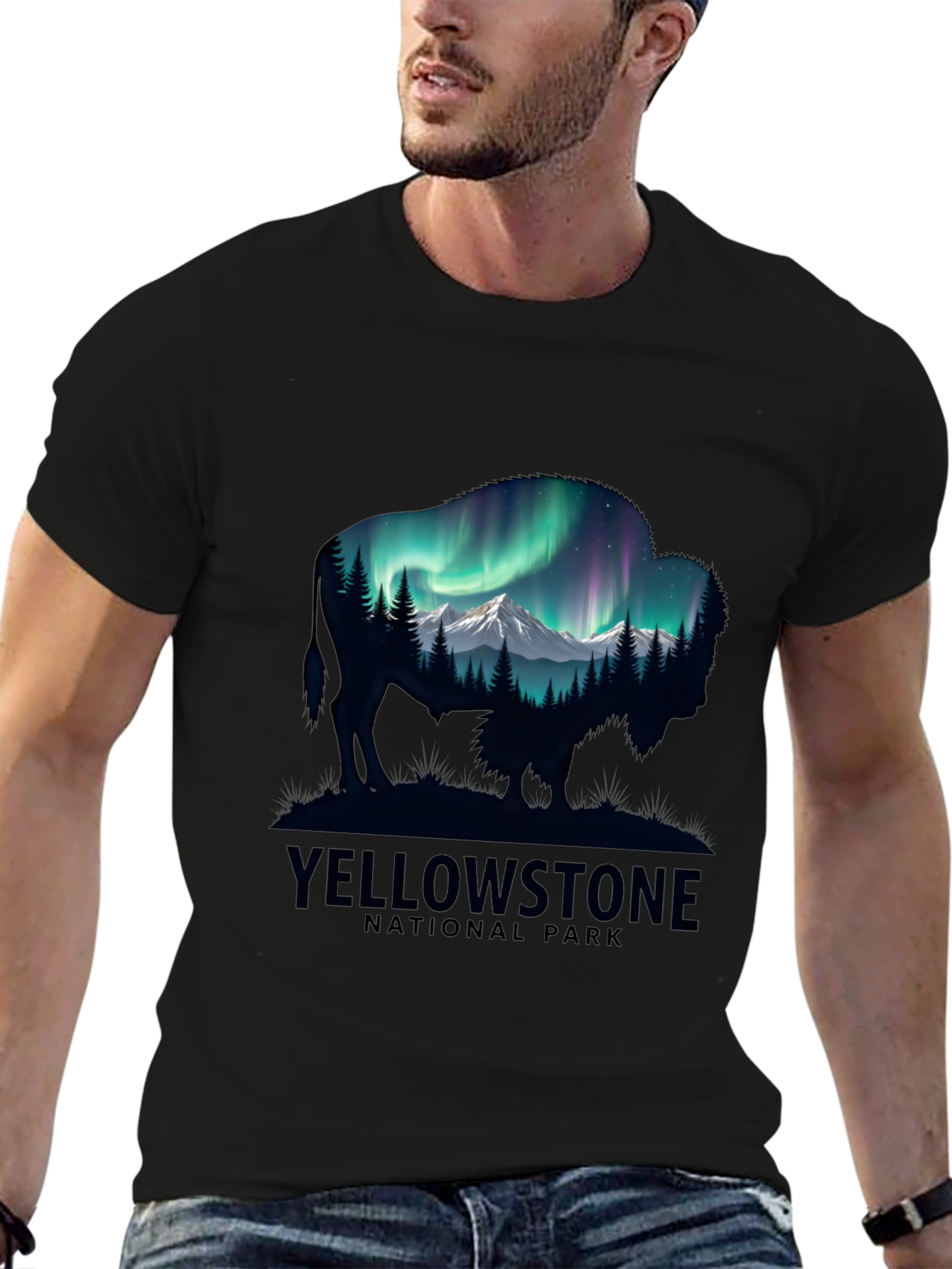Yellowstone Bison Aurora Mens T-Shirt