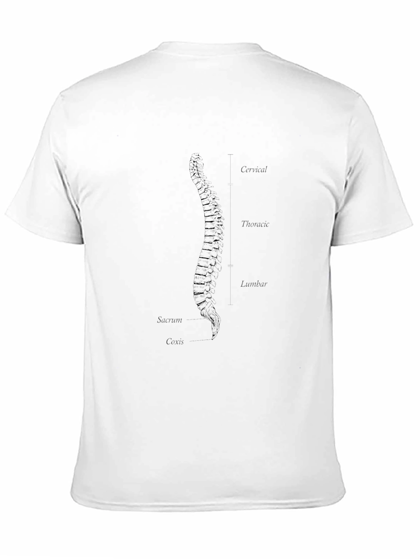 Anatomical Spine Graphic T-Shirt - Black
